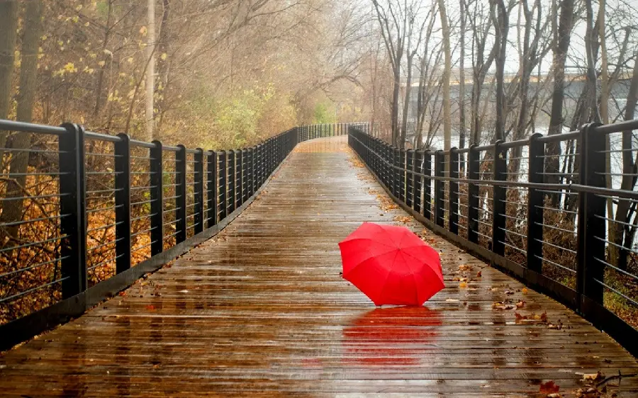Photo of red umbrella on wet and rainy bridge for Telegram and WhatsApp profile 
