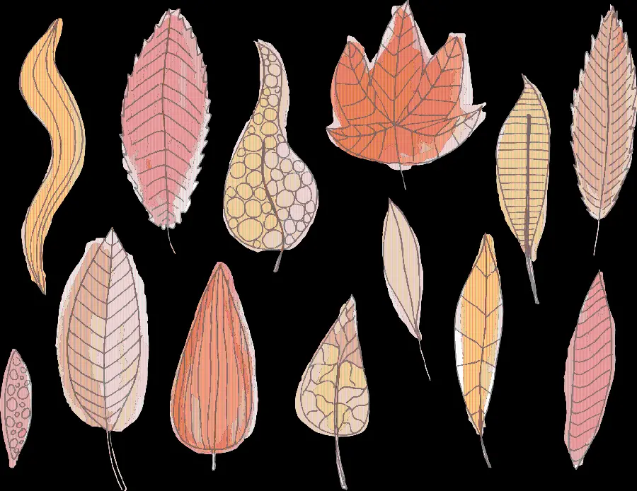Stylish PNG image with a black background, autumn leaves design