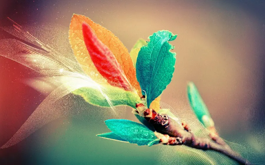 Close-up Image of Colorful Autumn Forest Park Leaves