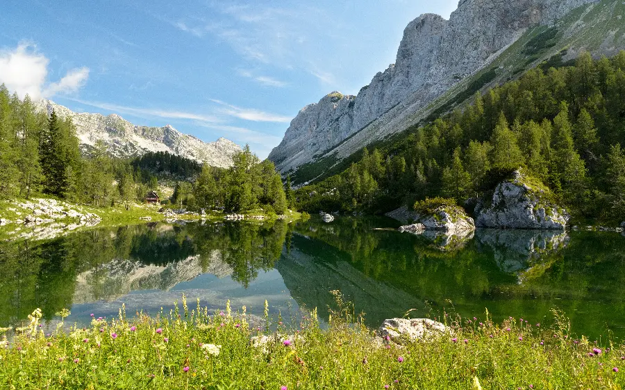 Wallpaper of the mountain nature with 4k quality forky 