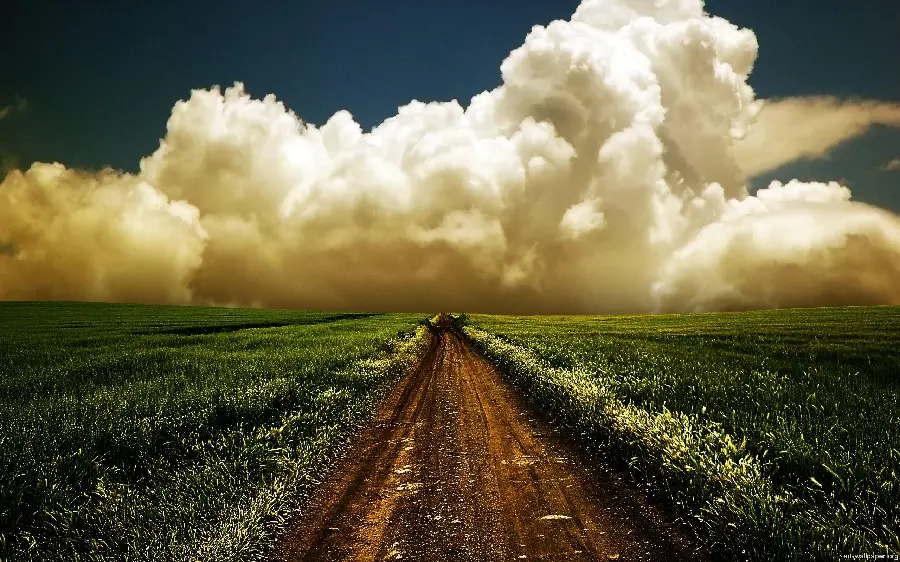 Wild Landscape Wallpaper Dirt Road Among Short Grasses 