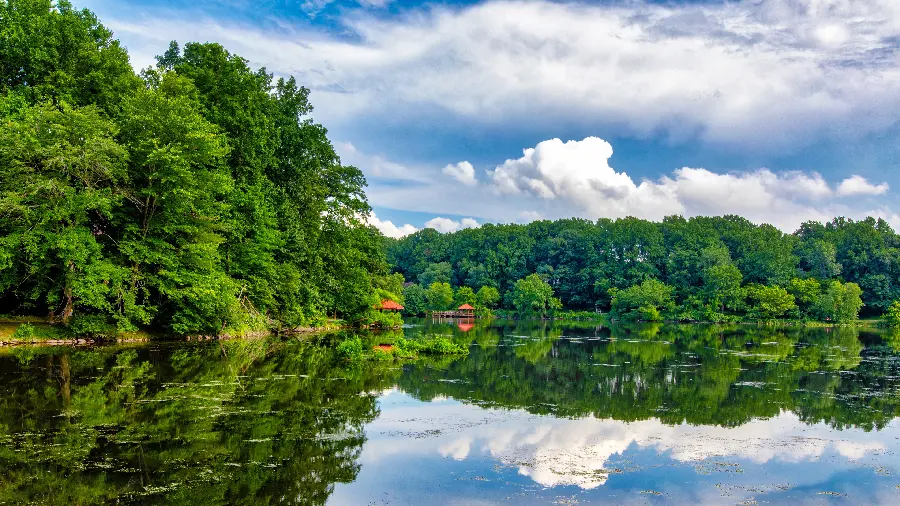 Download beautiful and stunning photo of calm and clean nature with 8K quality