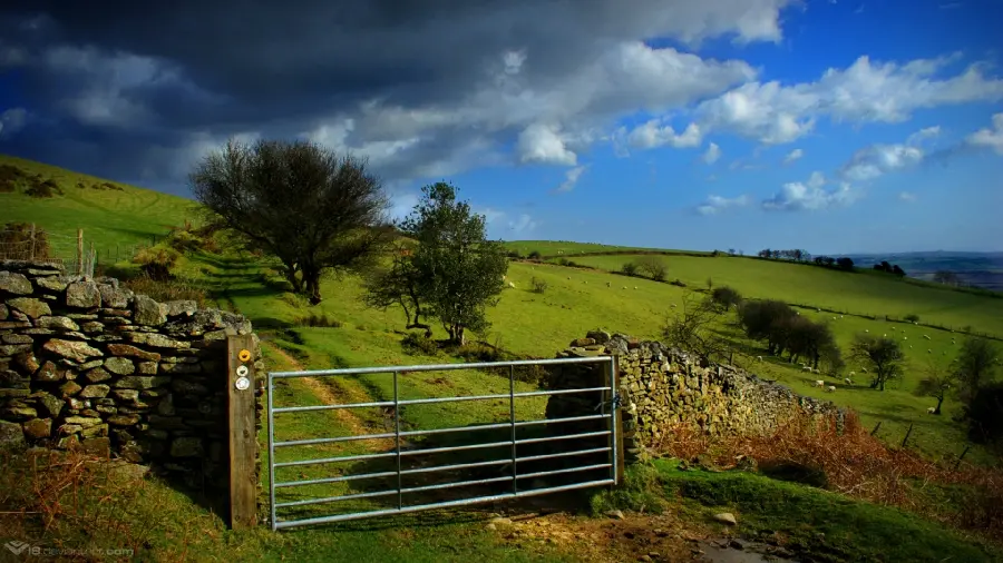 Nature image describing boundless beauty suitable for wallpaper 