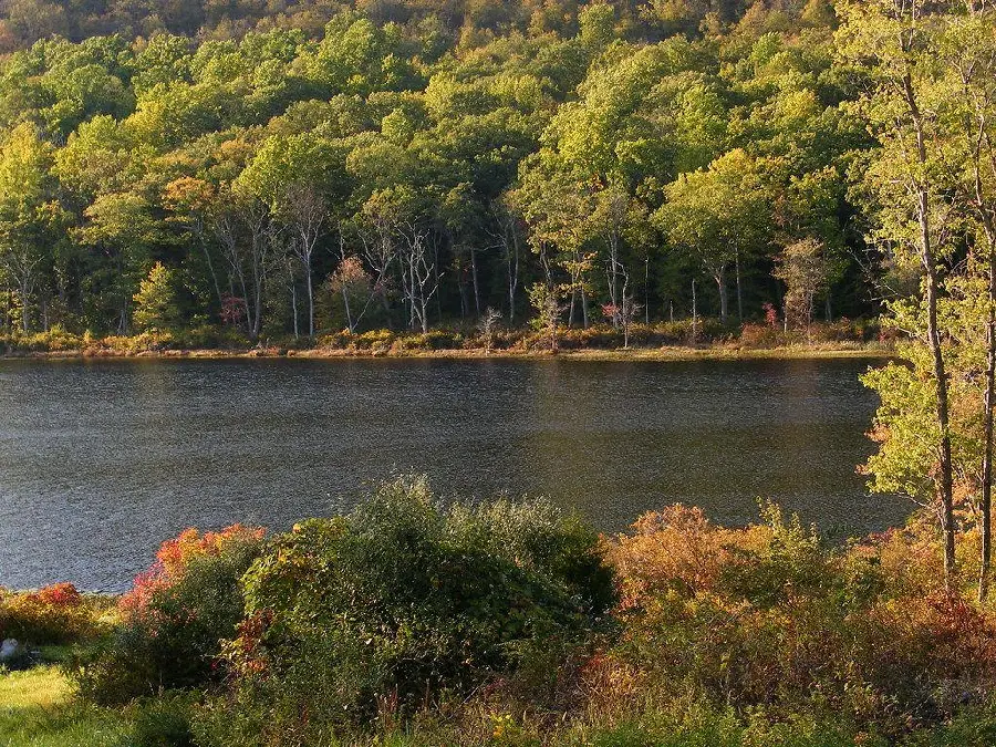 Picture of a beautiful lake, a suitable place for camping with pristine nature 