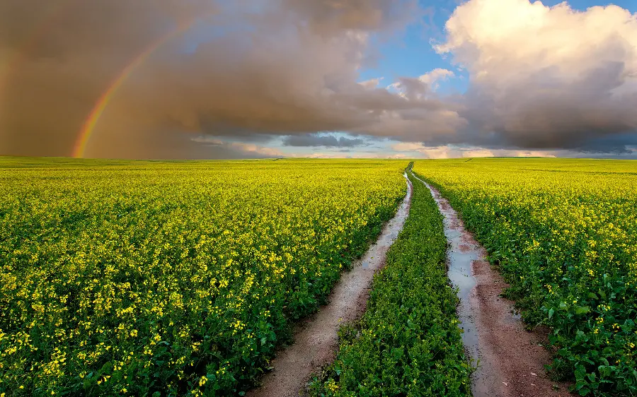 A dreamy wallpaper for your desktop of a natural attraction for nature dWest