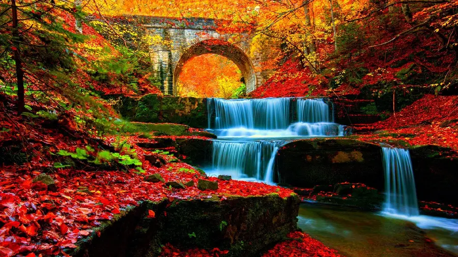 Special photo and dreamy view of a waterfall in the autumn forest in Full HD quality 