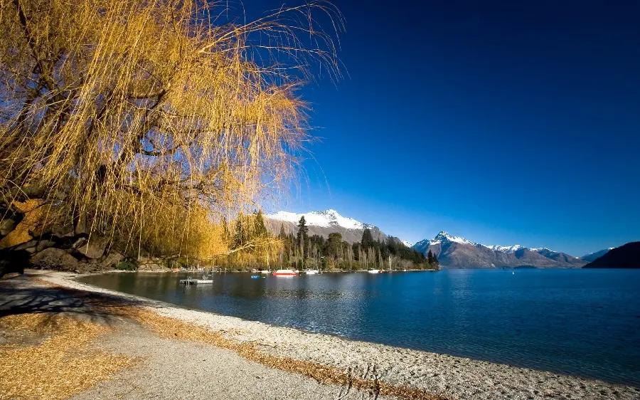 A wonderful and eye-catching image taken for the laptop 