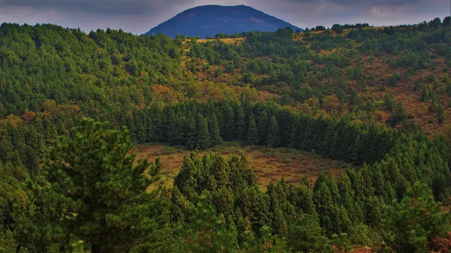 Photo taken of nature and landscape with dense vegetation