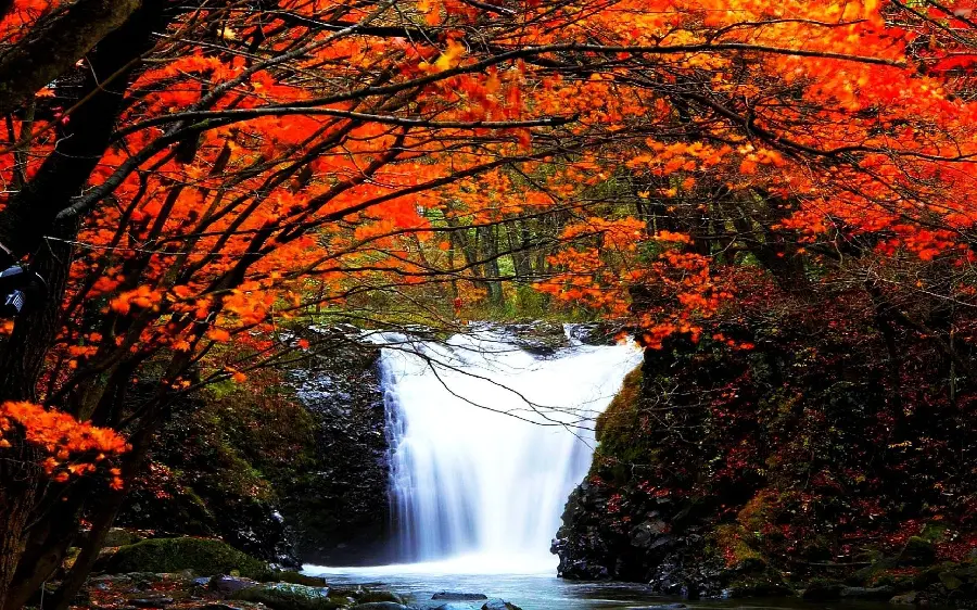 The most dreamy autumn landscape and cool waterfall full of water in 4k quality 