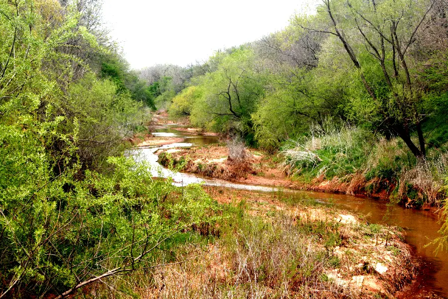 Download the photo of a relaxing and pleasant nature 