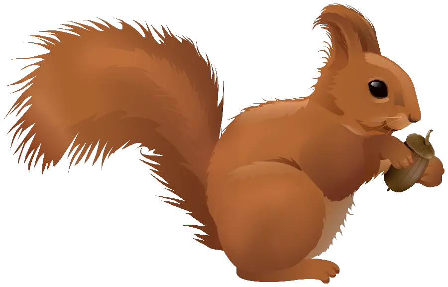 The most special computer graphic photo of a squirrel in PNG format