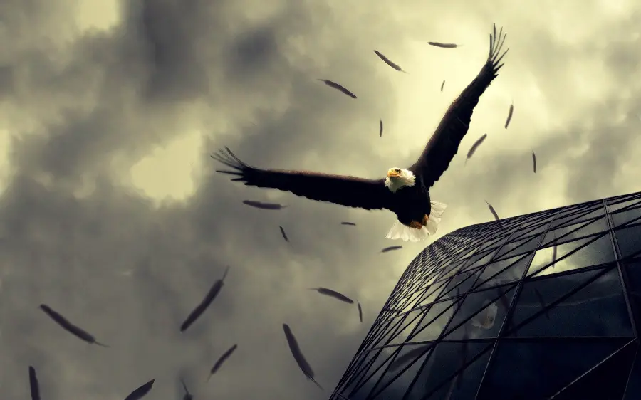 Download the scary and terrifying wallpaper of a wild bird of prey flying