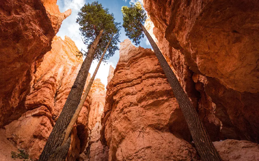 The most beautiful free and high-quality rocky landscape 