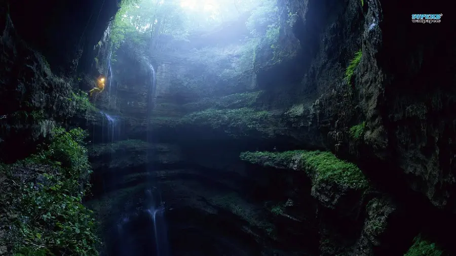 Dark cave underground stock photo with special and beautiful vegetation