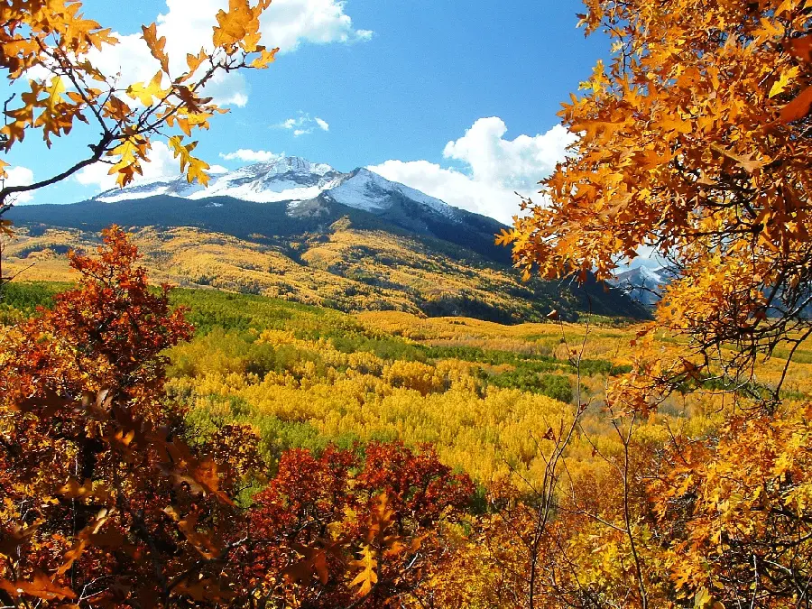 Interesting and spectacular nature photo for autumn wallpaper