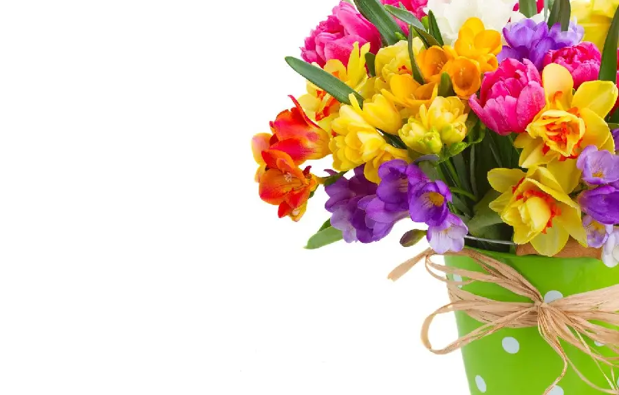 Beautiful and beautiful flower bouquet photo with attractive and spectacular colors 