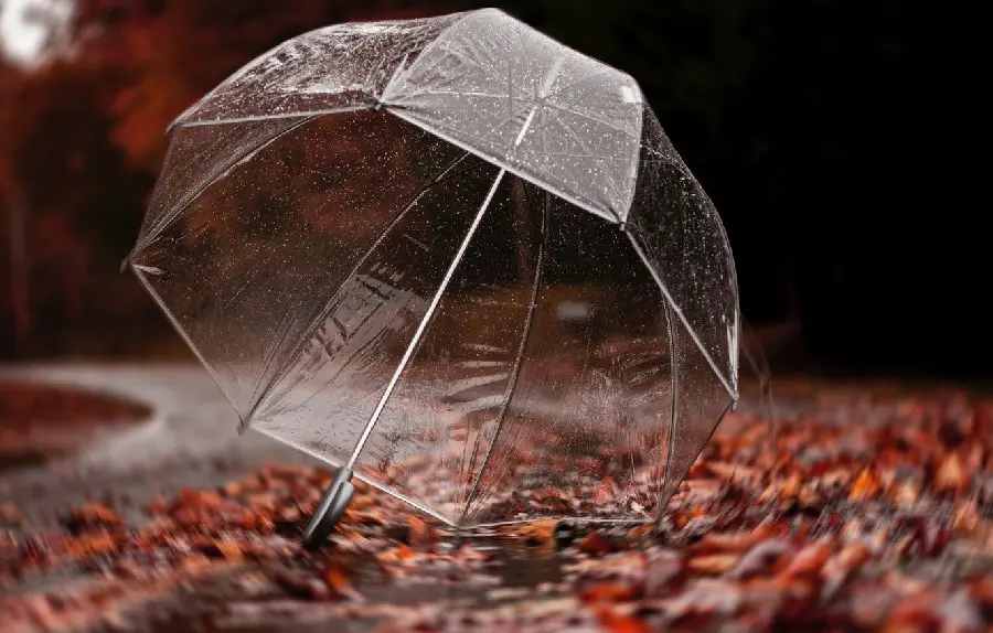 Autumn Romantic Profile Picture and Background Transparent and Colorless Glass Umbrella 