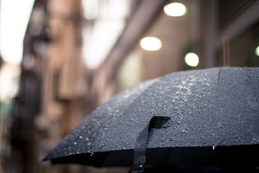 Free and high-quality download of a profile picture and background of a wet black umbrella in the rain