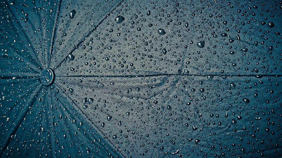 The latest and most special design model on an adult umbrella 