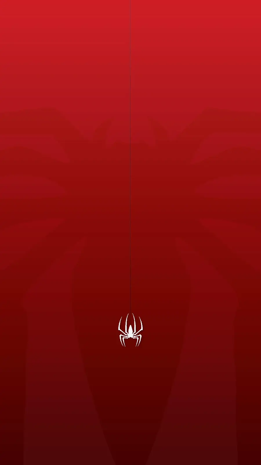 Simple and free wallpaper of a spider photo with a red background 