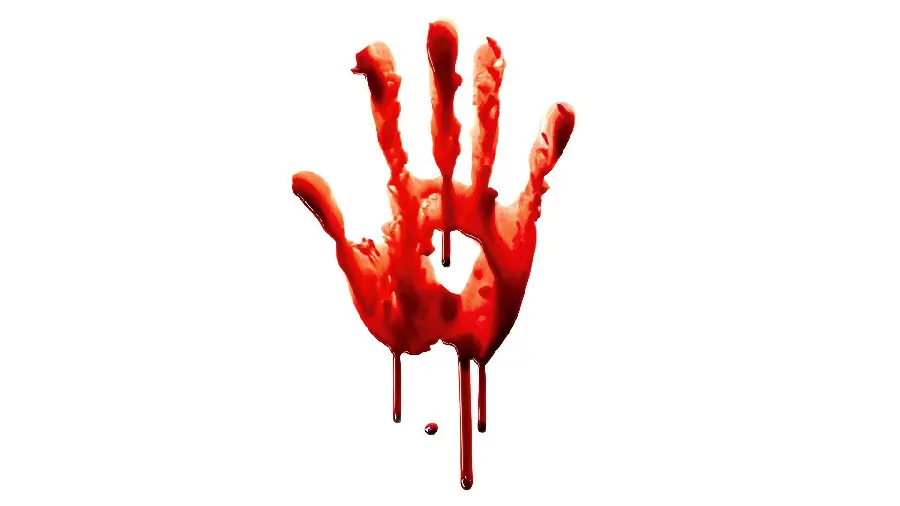 Download wallpaper of bloody hand with white background and full HD 