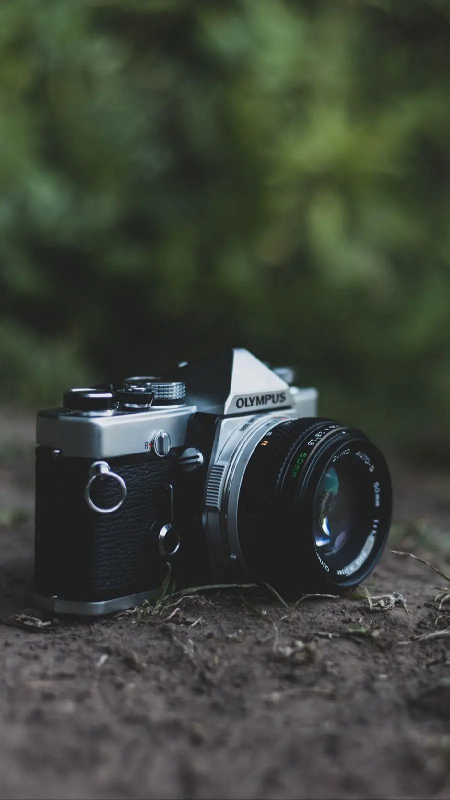 Special and stylish image of a camera in nature suitable for taking ideas