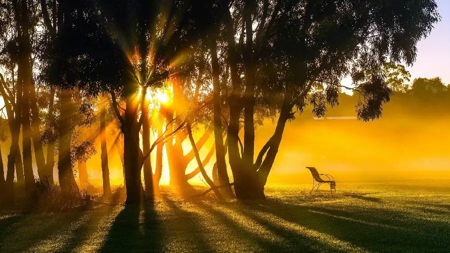 Beautiful and spectacular sunset landscape image with full HD quality 