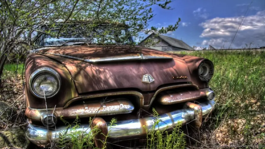 Image of an old car buried among trees and grass