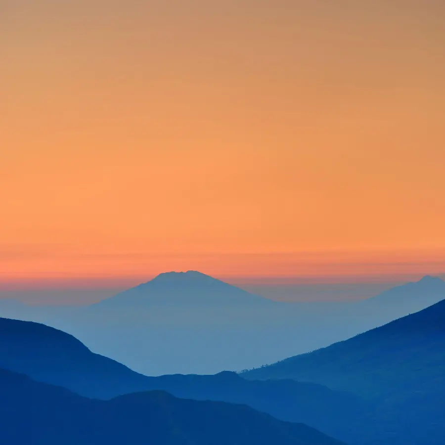 Simple and stylish minimalist nature design wallpaper