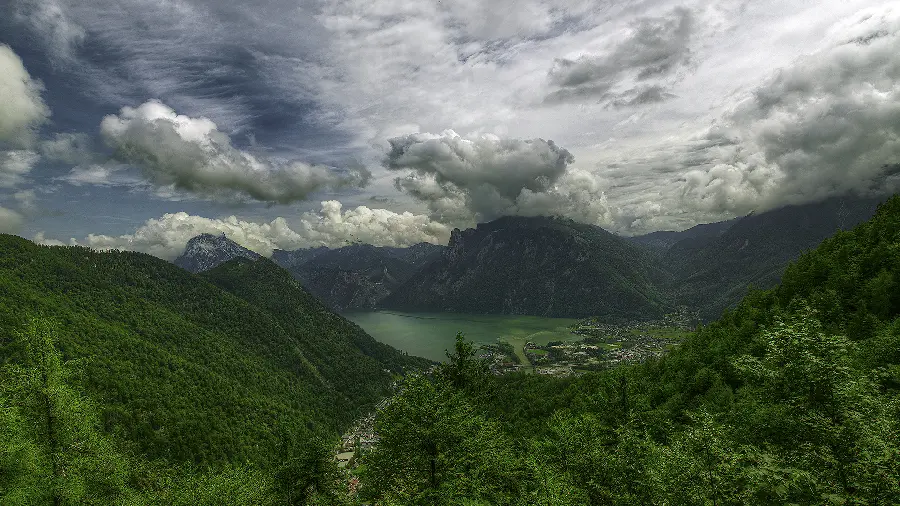 Download a photo of a lush forest with a gloomy cloudy sky 