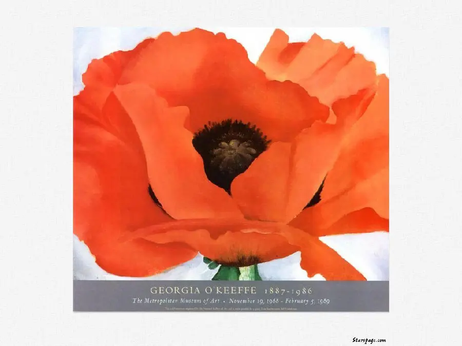 Background image of the lovely work of Georgia O'Keeffe, a prominent female painter 