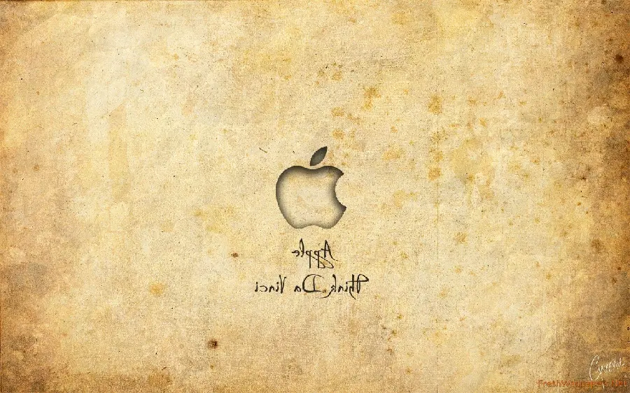 A special and spectacular photo of the theory and invention of Leonardo da Vinci, the scientist and inventor