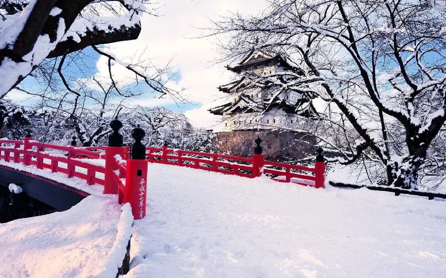 Download the highest quality winter dreamy snow umbrella wallpaper