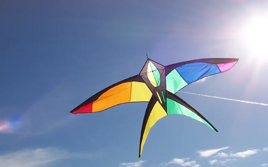 Download the most creative rainbow kite design photo