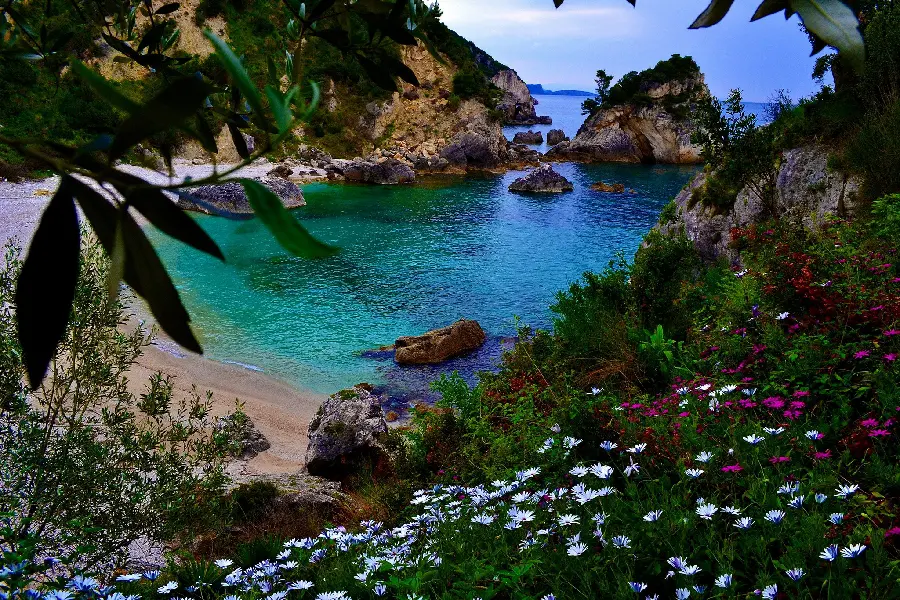The most special stock photo of the beach of the forest island of Borneo in Indonesia 