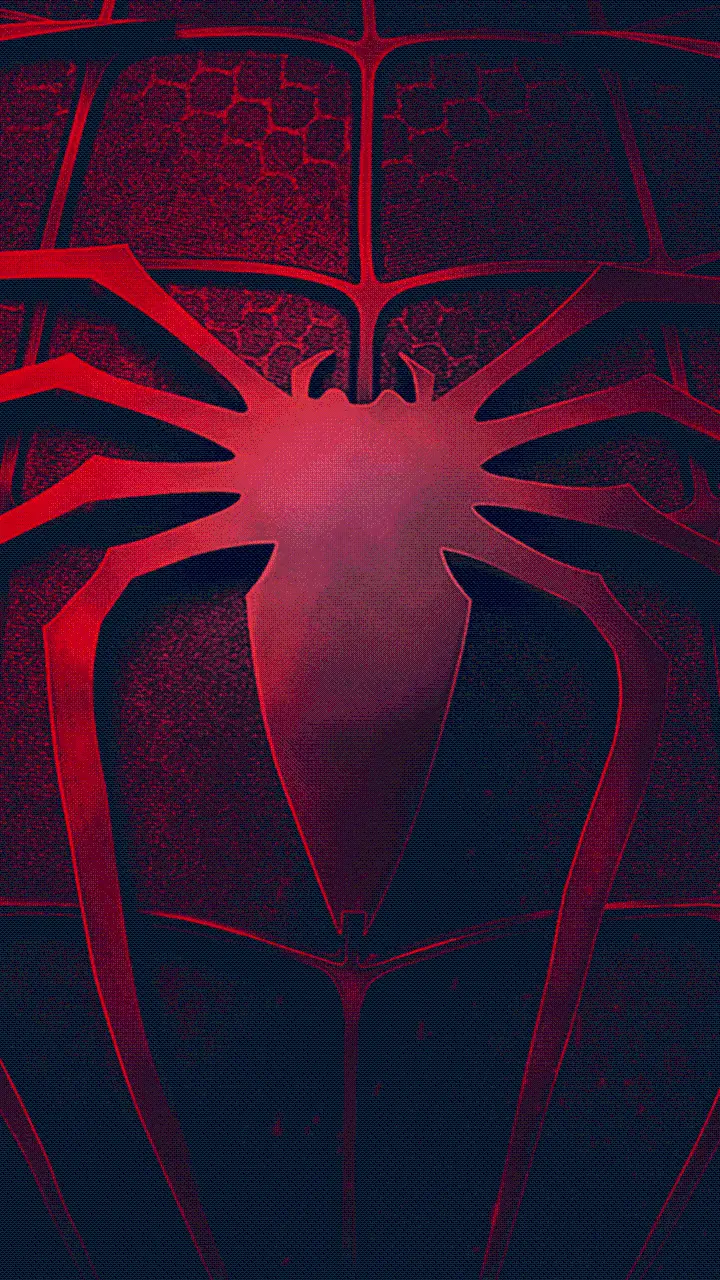 Download super beautiful high quality spider wallpaper
