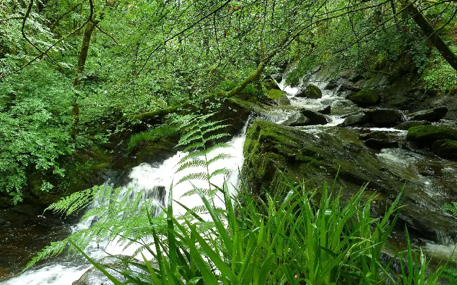 The most interesting and relaxing photo of a natural landscape and landscape 