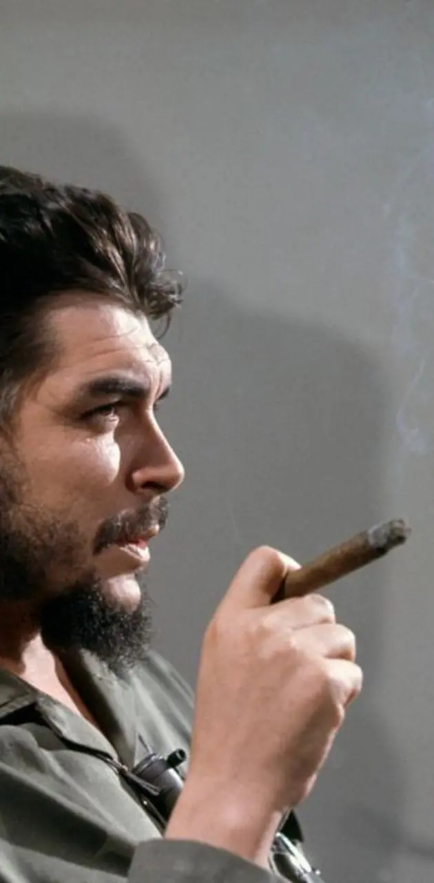 Simple and unedited image and text of Ernesto Che Guevara suitable for the profile