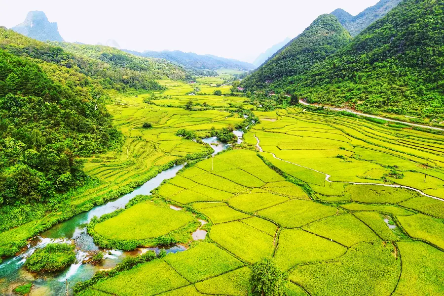 With The highest quality aerial photo of the division of agricultural land in the village 