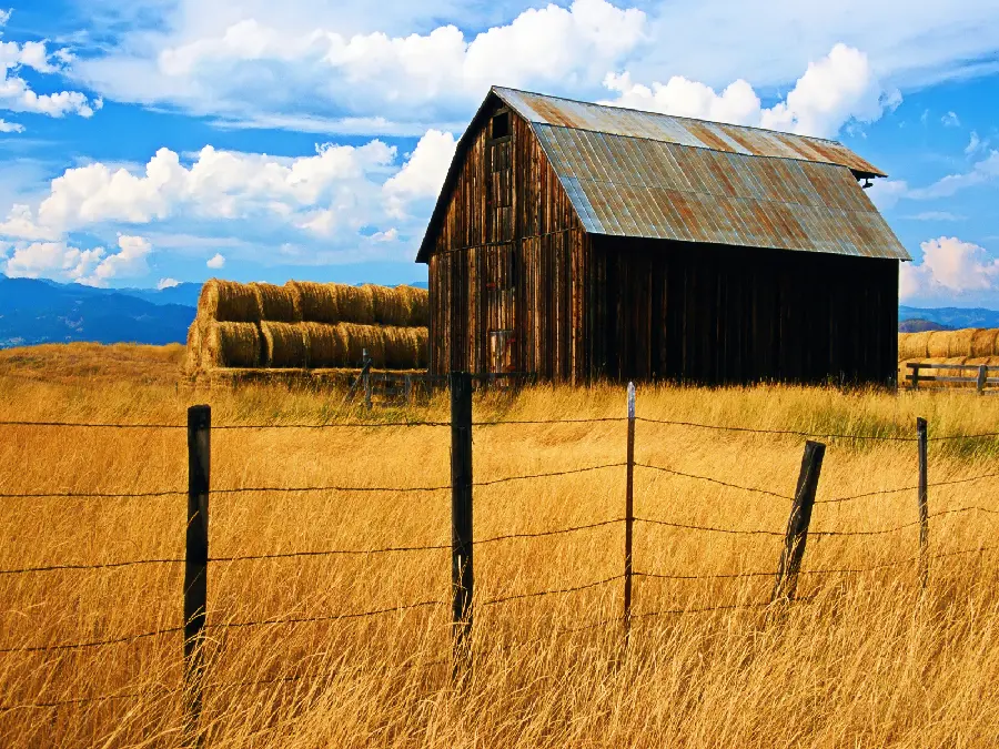 DonalFree Stock Photo of a Barn for Farm Products