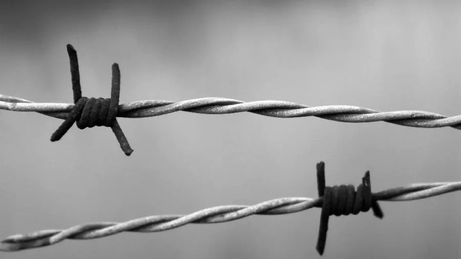 Barbed wire background photo taken from a very close view