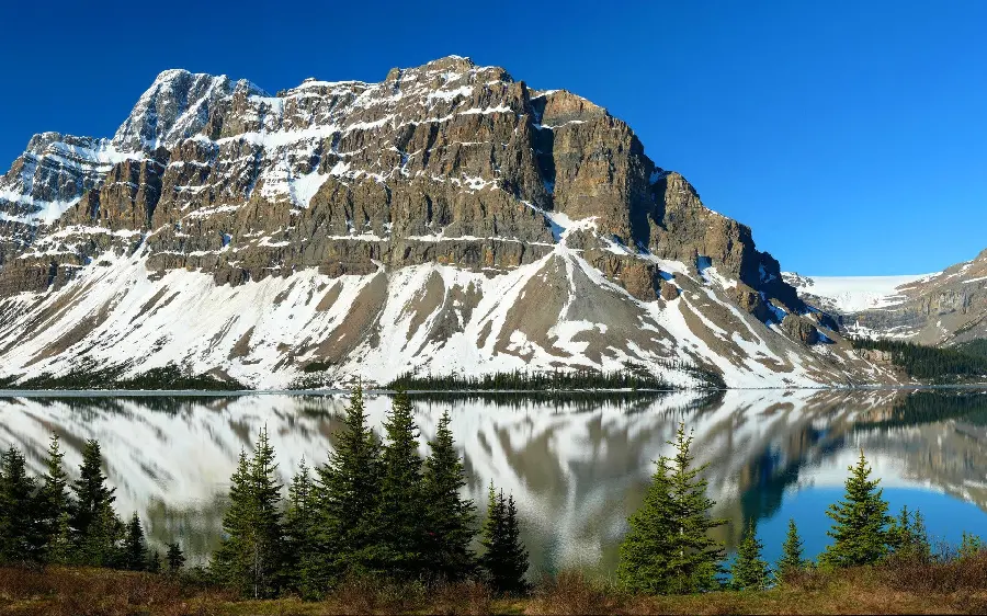 Live wallpaper of pristine nature for profile