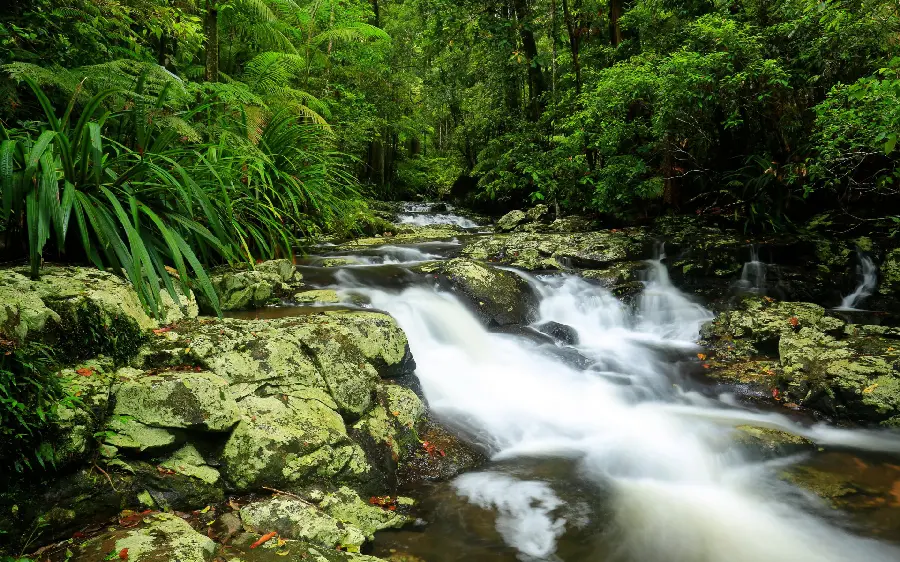 New wallpaper of a beautiful and pleasant nature design, river design, waterfall model 