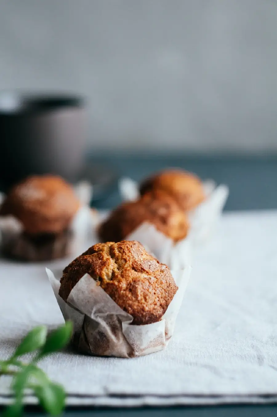 Free Download Blueberry Cookie Stock Photo for Chefs Background 