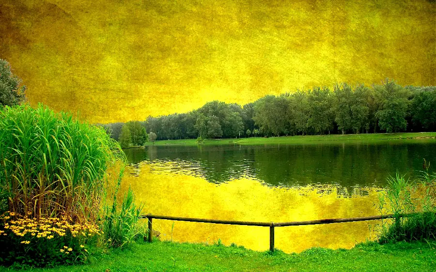 The most beautiful photo of a lush and beautiful nature painting