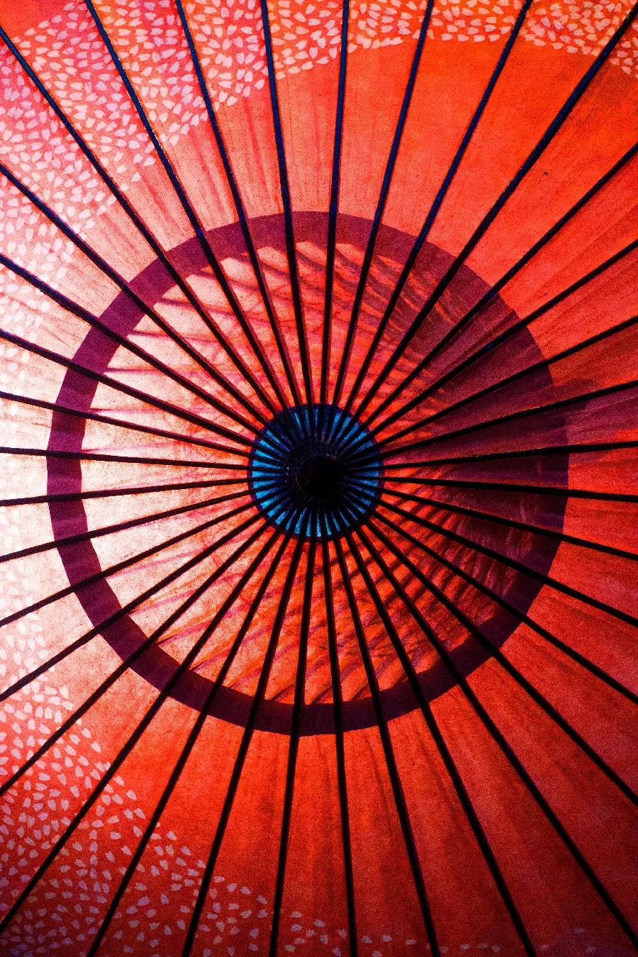 Download images of traditional Japanese umbrellas for free from Johreh