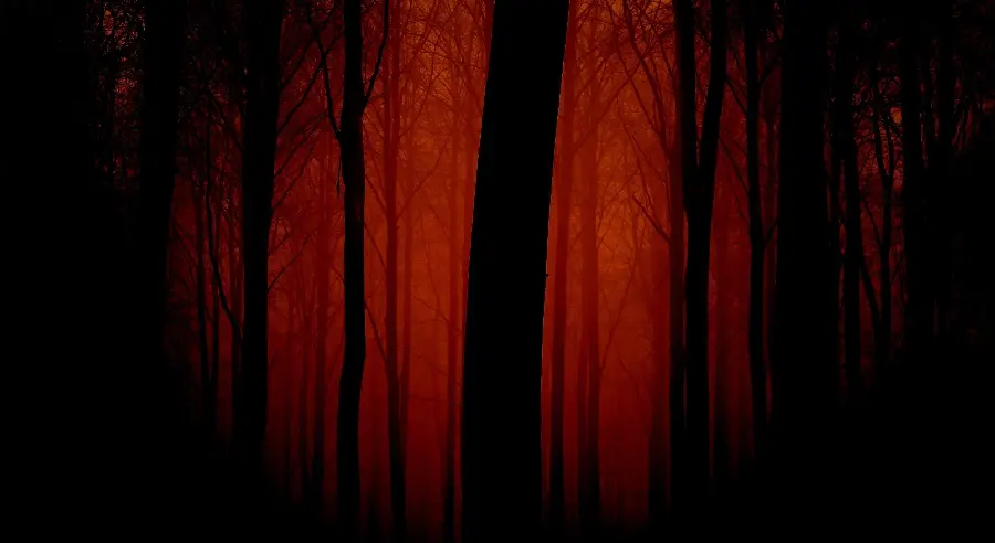 Download bloody hand photo horror show with high quality 