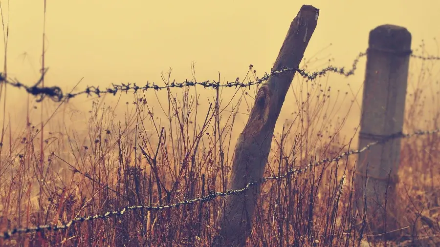 Barbed wire wallpaper in the plains and grasslands to restrict access