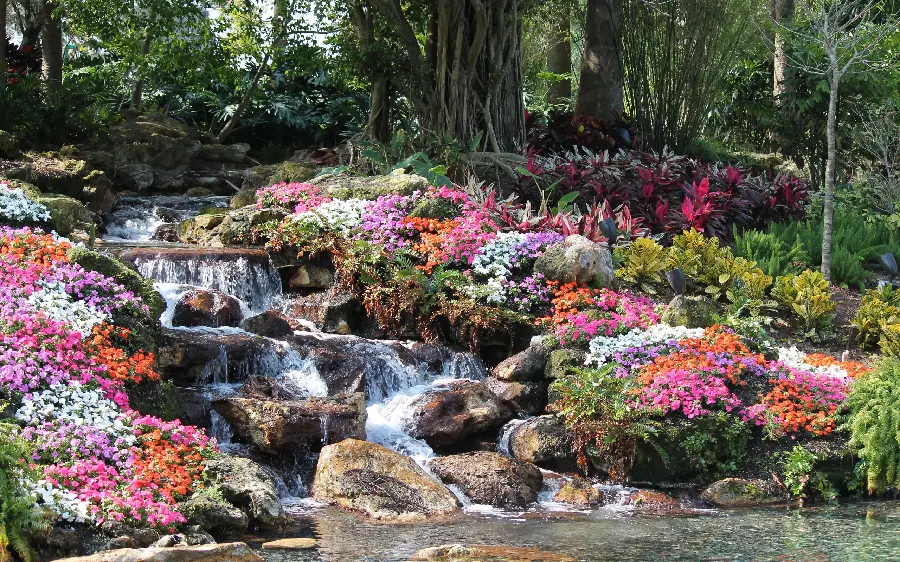 Romantic and romantic nature with a lake and red, white and pink flowers growing on the rock 