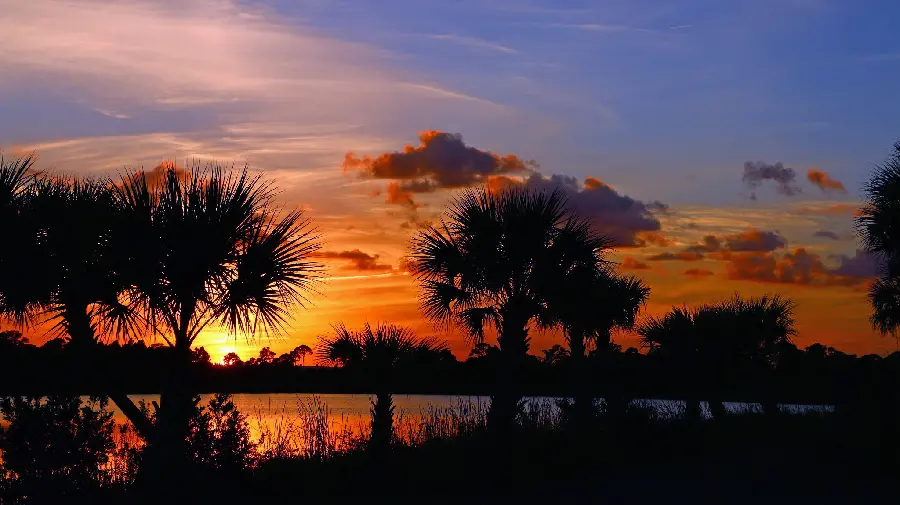 The most attractive sunset photo in nature with 4K quality